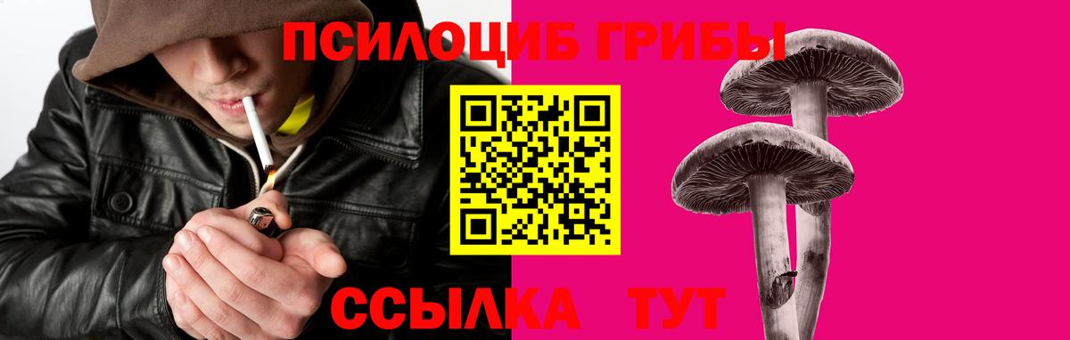 где найти наркотики  Галлюциногенные грибы GOLDEN TEACHER  Вход с VPN  Чистополь 